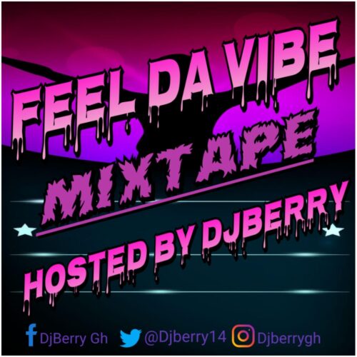 Feel Da Vibe Mixtape (Hosted By Dj Berry)