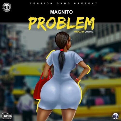 Magnito – Problem