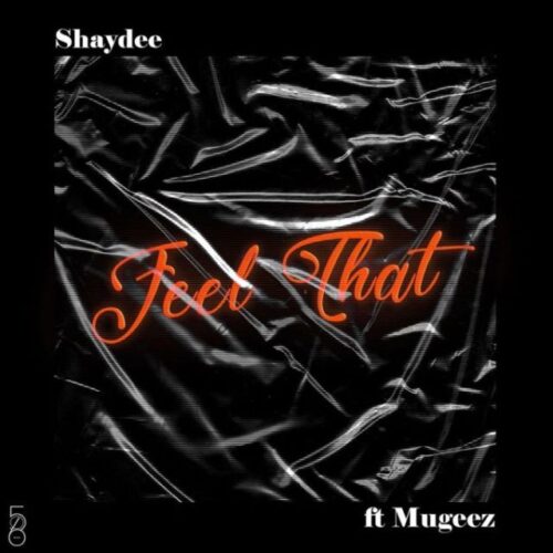 Shaydee Ft Mugeez (R2Bees) – Feel That