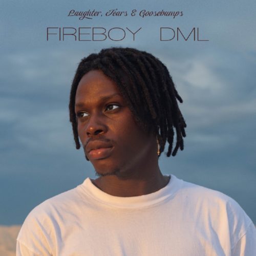 Fireboy DML – Like I Do (Instrumental)