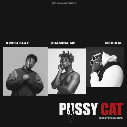 Kwesi Slay Ft Quamina Mp & Medikal – Pussy Cat
