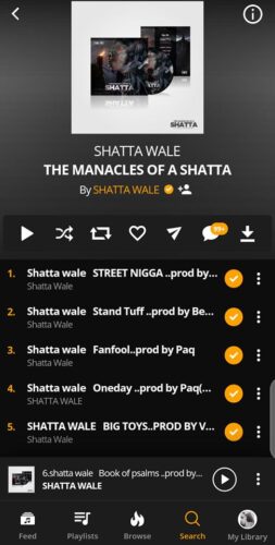 Shatta Wale - Manacles of A Shatta EP