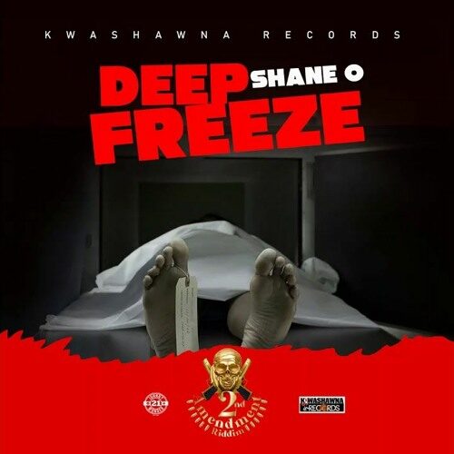 Shane O – Deep Freeze
