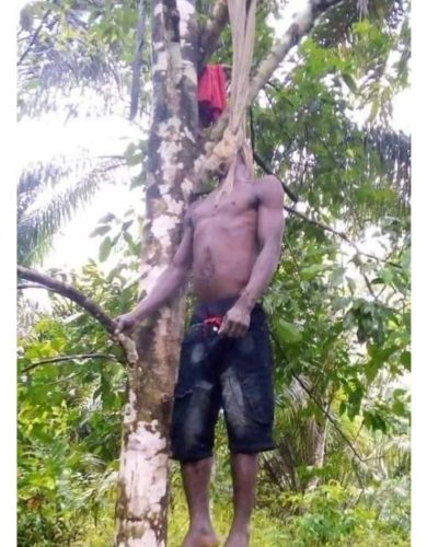 Alleged Infidelity - Man Commits Suicide After Killing His Wife (Graphic Photos)