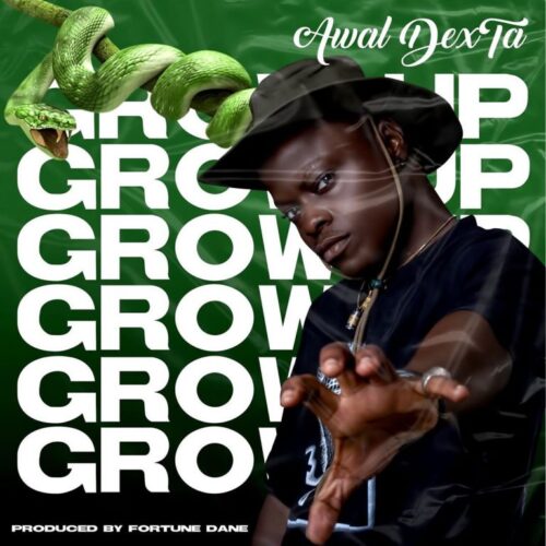 Awal – Grow Up (Prod. By Fortune Dane)