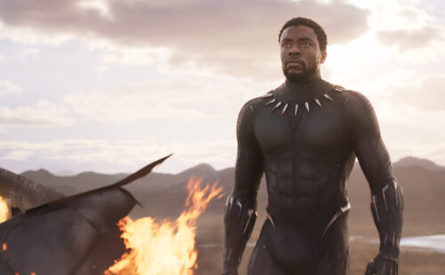 Chadwick Boseman - Black Panther