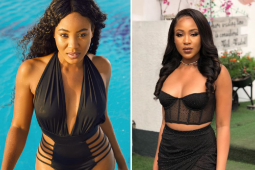 Erica Of BBNaija Fame Deletes All Her BBNaija Posts On Instagram Leaving Only One After Taking Back Her Account, See The Only Post Left (Watch)