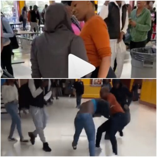 2 Teen Ladies Fighting Over A Man At The Mall - Video Here