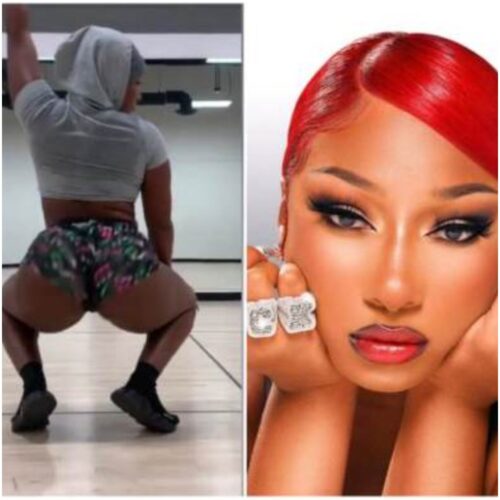 Have You Seen The Latest Tw3rking Video Of Megan Thee Stallion - Video Below