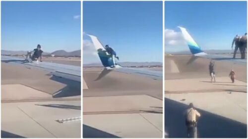 Boy Jumped On Plane Wing As It Was Going To Take Off, What Happen Next Is Sad - Video