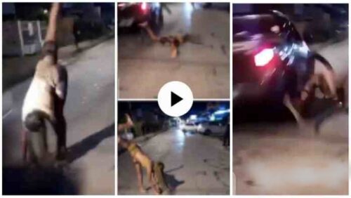 Fast Moving Car Kills A Lady Tw3rking On The Street - Video