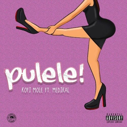 Kofi Mole – Pulele! Ft Medikal (Prod By BPM Boss)