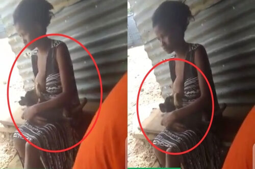 Lady Seen Breastfeeding A Dog, Netizens React - Video
