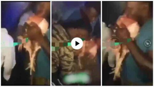 Sakawa boys Seen Chewing Live Chicken To Perform Their Rituals - Watch N Be Shocked