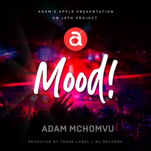 Adam Mchomvu Ft Dibo – Mood