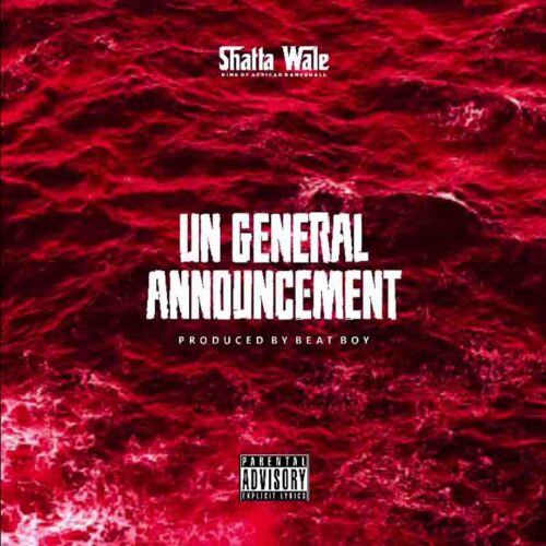 Shatta Wale - UN Announcement 2 (Samini Diss)
