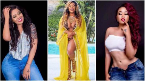 Watch How Vera Sidika Fall On Stage While Entertaining Guests @ A Party - Video