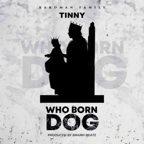 Tinny - Who Born Dog (Yaa Pono Diss)