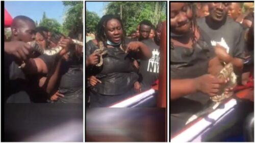 Lady Buries Dead Husband With A Live Snake - Video