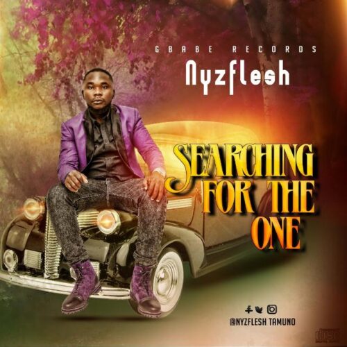 Nyzflesh - Searching For The One