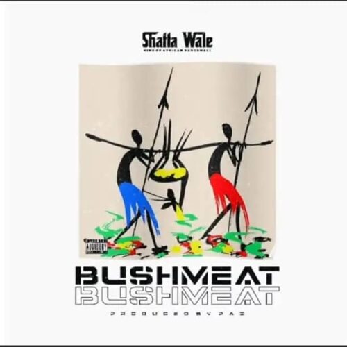 Shatta Wale – BushMeat