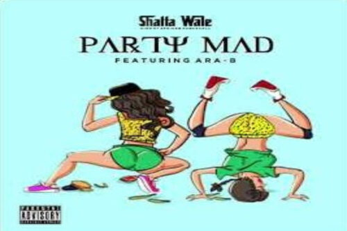 Shatta Wale – Party Mad Ft Ara-B