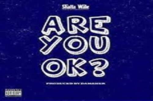 Shatta Wale – Are You Ok? Lyrics