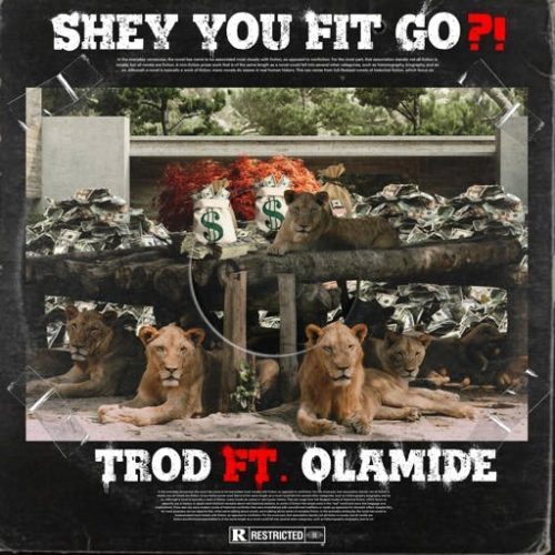 Trod – Shey You Fit Go?! Ft Olamide