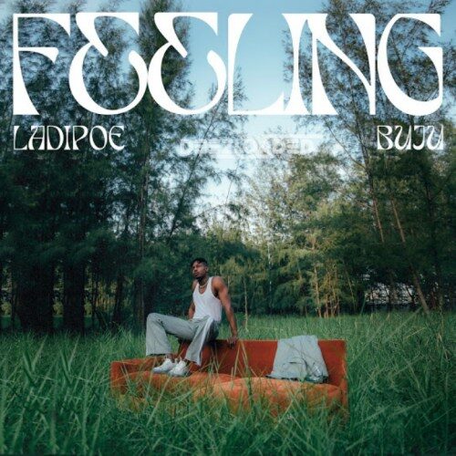 LadiPoe Ft Buju – Feeling Lyrics