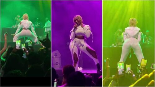 Wendy Shay Make Fans Go Gaga With Her Seducing Performance At Ghana To The World Concert - Video