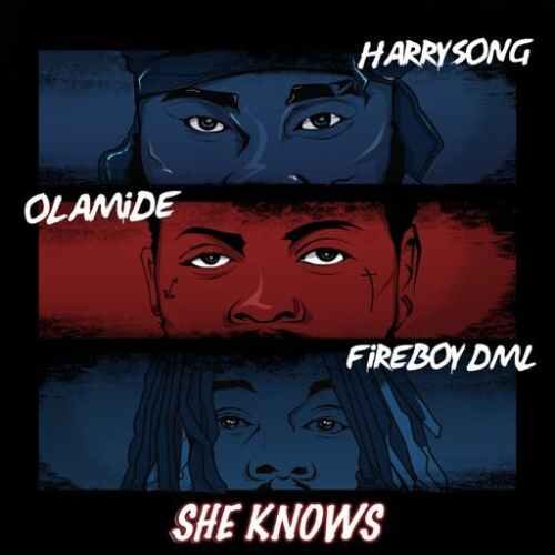 HarrySong – She Knows Ft Fireboy DML & Olamide