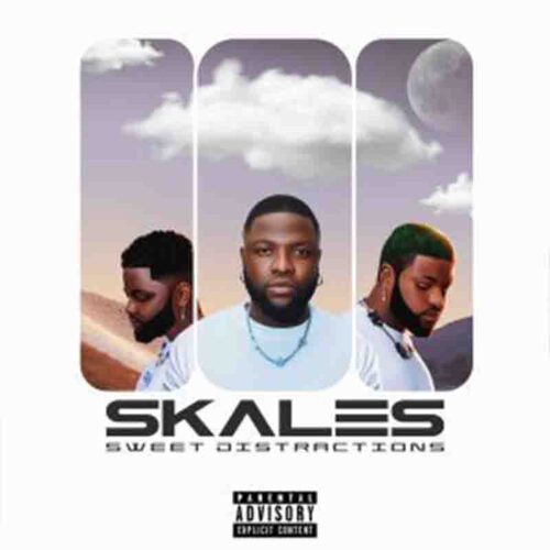 Skales - Nobody to Somebody (N2S) (Sweet Distractions Album)
