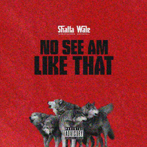 Shatta Wale – No See Am Like That Mp3