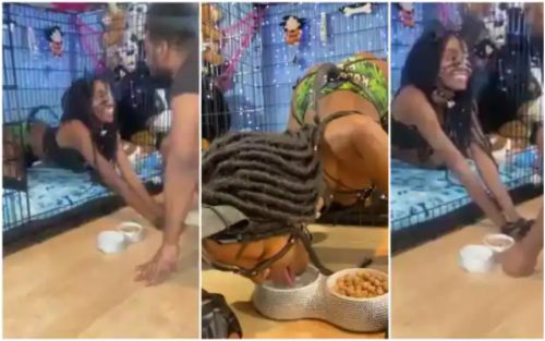 Bootylicious Lady Serving As Rich Man’s Dog Causes Stir Online - Video